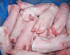 Nóżki Wieprzowe przednie   Pieds de Porc avant   Pork front feet  Schweinevorderfüße